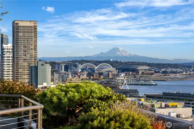 View from the rooftop patio