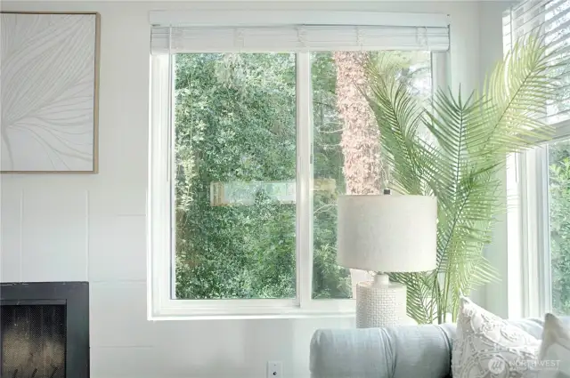 Secluded evergreen views from most windows