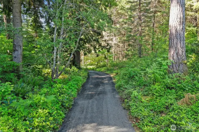 Freshly graveled private driveway