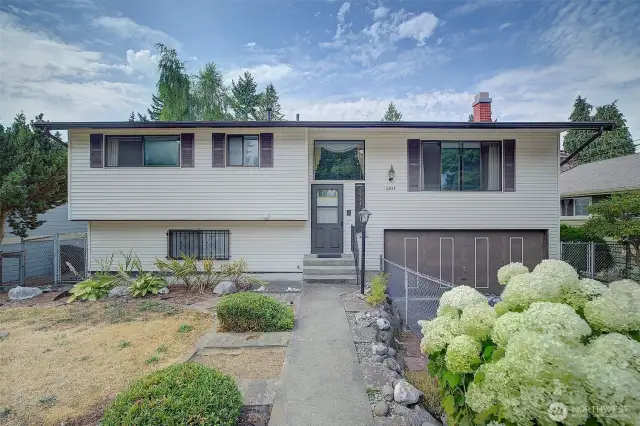 Beautiful tree-lined street welcomes you home with bursting white Hydrangeas