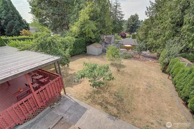 Large level lot boasts figs, pear/apples, and an herb garden