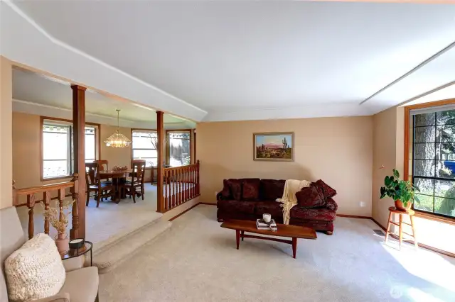 Living & Dining Room Framed With Walls Of Windows-Brings In Natural Light. New Plush Carpet & Freshly Painted.