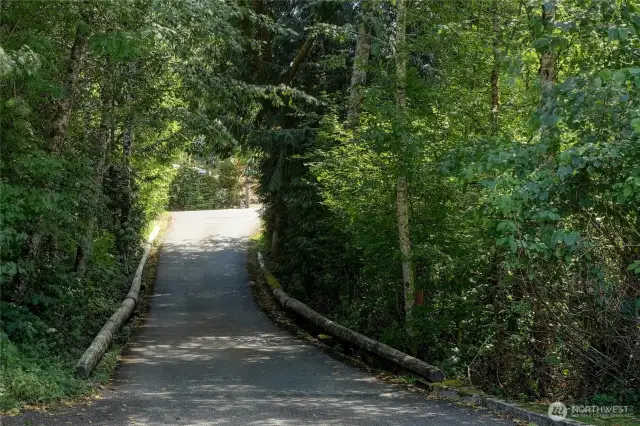 Road Out Of Our Property.....Thank You For Touring Our Property!