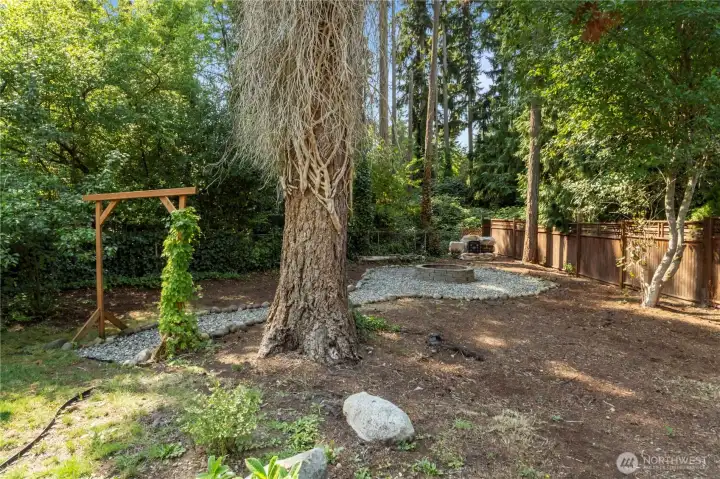 Firepit area