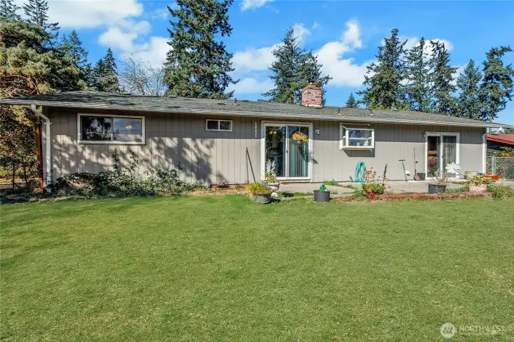 Backyard of home, grass has been photoshopped to look green.