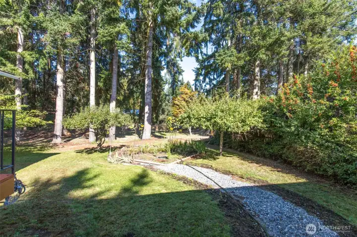 Trees line the boundary of the yard,