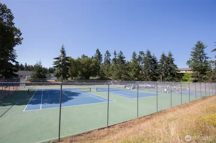 Tennis & pickleball courts