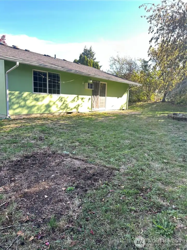 back yard