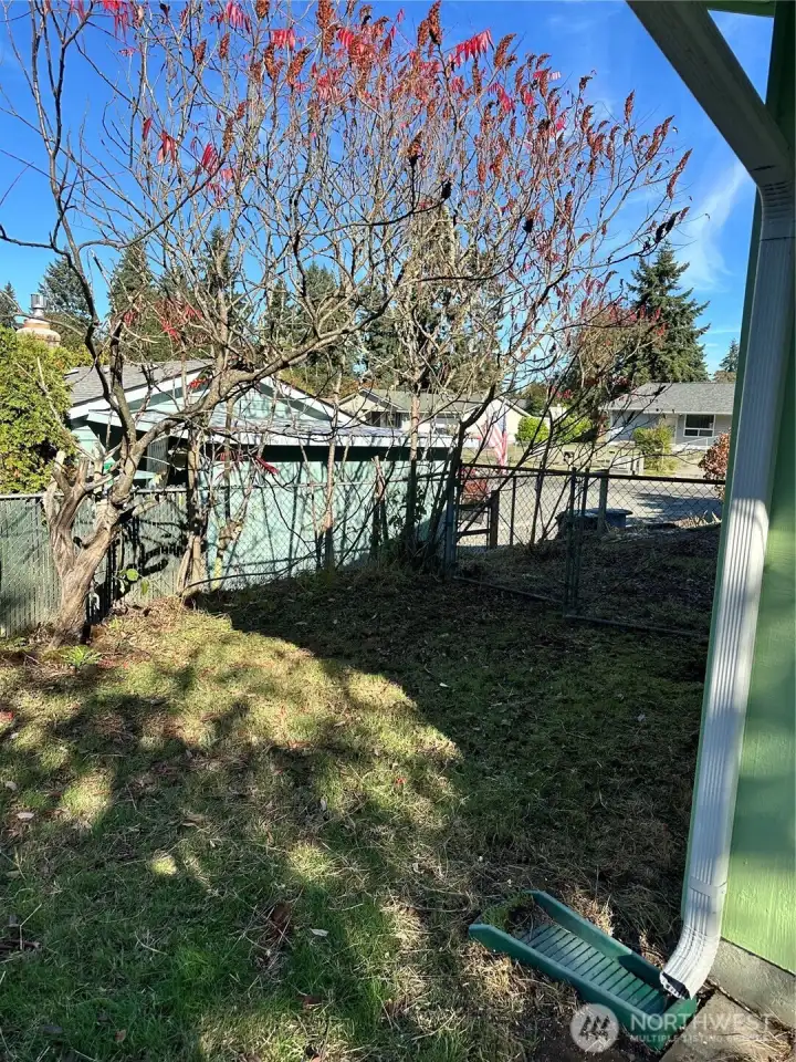 double gate into back yard