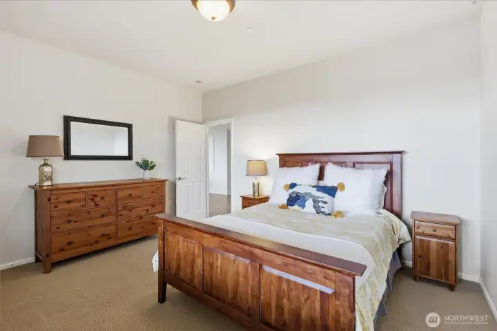 Lower level spacious bedroom with walk in closet