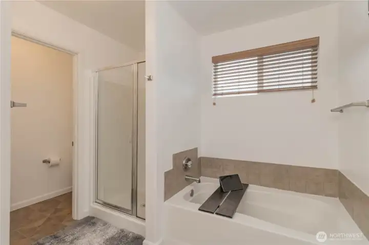 Lavatory space on far left with door for privacy, then walk-in shower and separate tub