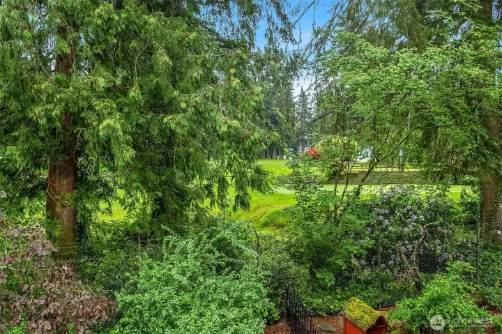 View of 4th Tee box from the Unit