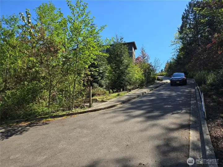 From the lot looking up the private driveway to the South From the lot looking up the private driveway to the South