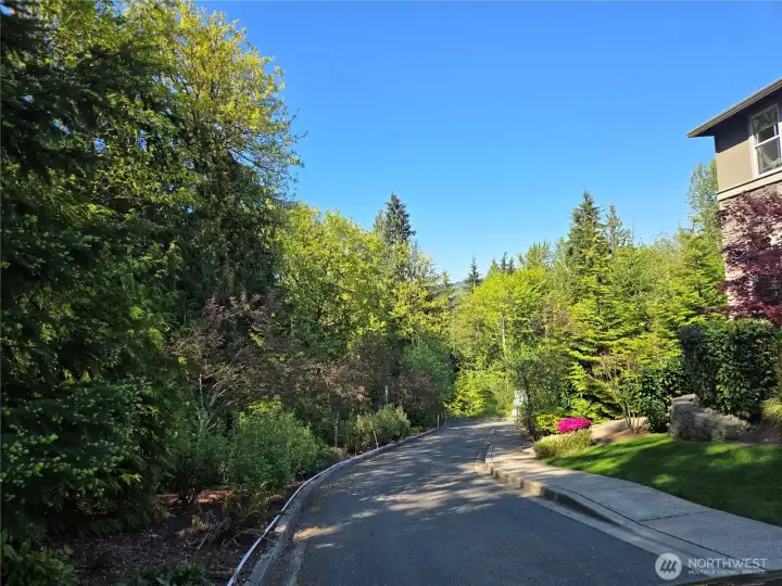 lot is at the end of this driveway lot is at the end of this driveway