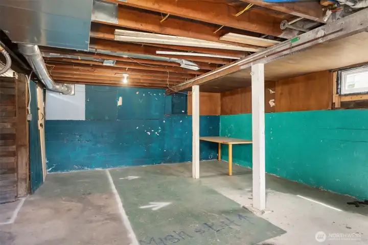 Unfinished Basement with Laundry & Mechanical Room