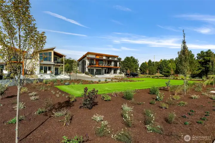 Common Area Landscaping