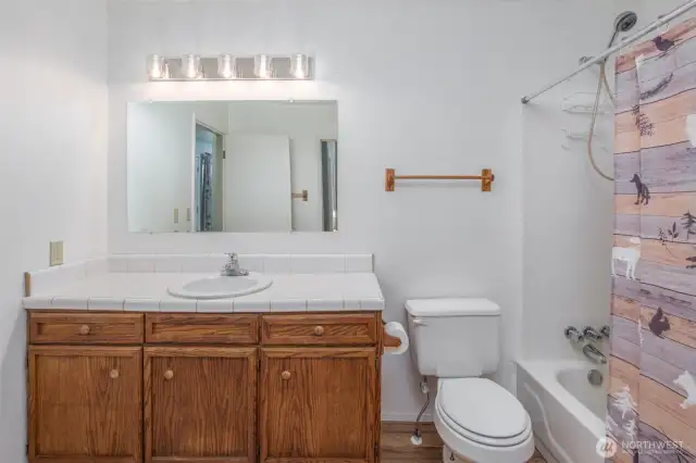 Primary Bath Vanity