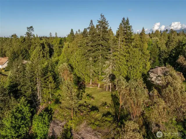 Aerial View from the Bluff