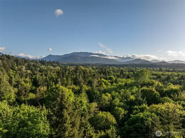 Views of the Elwha River Valley
