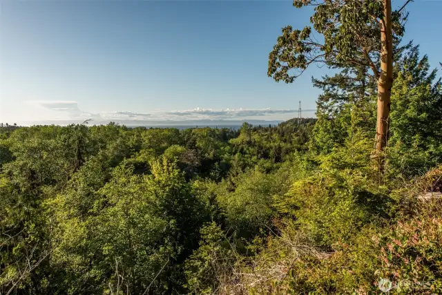 Looking North