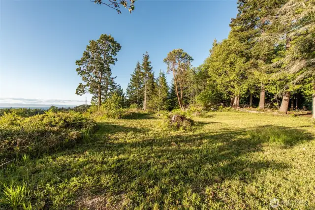 Bluff Edge View