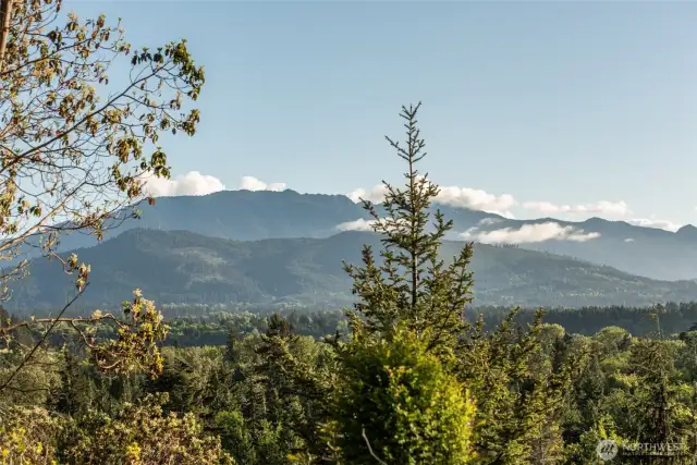 Southwest View across the Elwha Valley