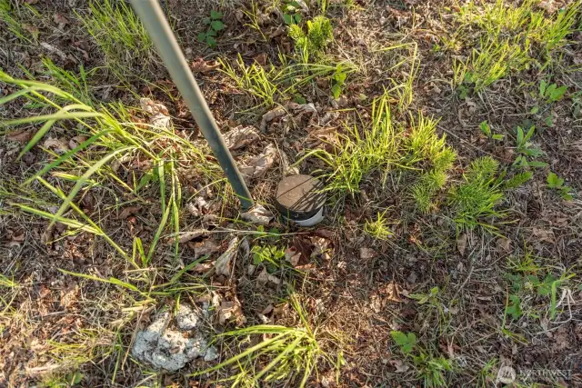 Septic Drainfield