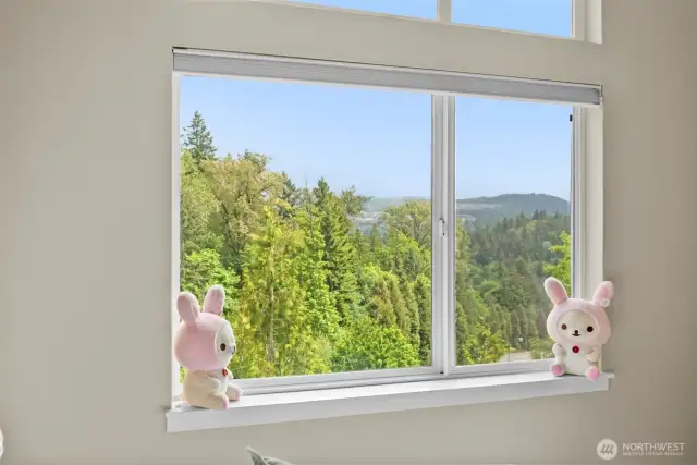 Mountain views from bedroom window