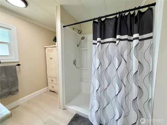 More of the primary bathroom.