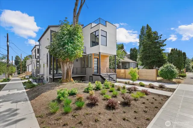 Corner of Fir and 24th Ave