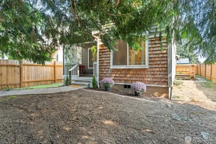 Front yard