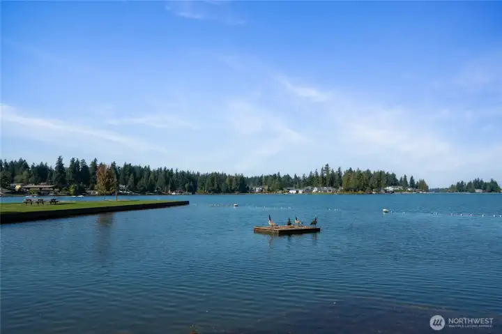 Affordable Lake Tapps fixer with a big yard, $7,500 buyer credit, and tons of potential—perfect for building equity or your next investment project.