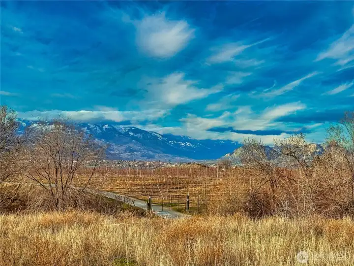 View towards Osoyoos, British Columbia