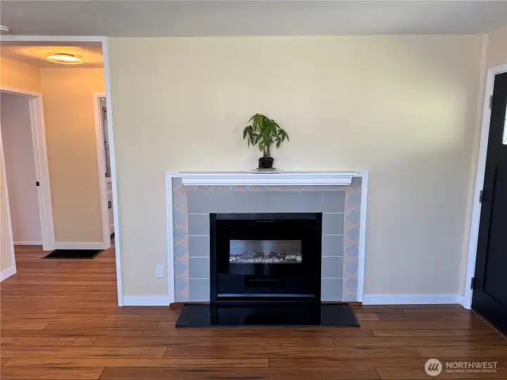 Electric Fireplace - Can be on just for looks without heat, or with heat. Remote Controlled.