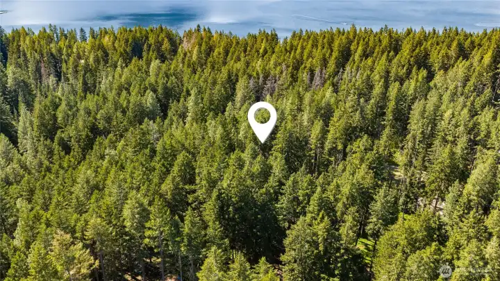 This home backs Wenatchee National Forest!