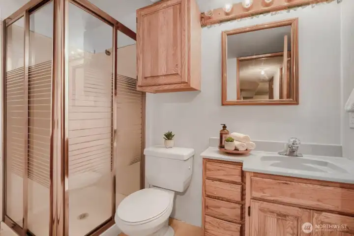 Lower level three quarter bathroom.