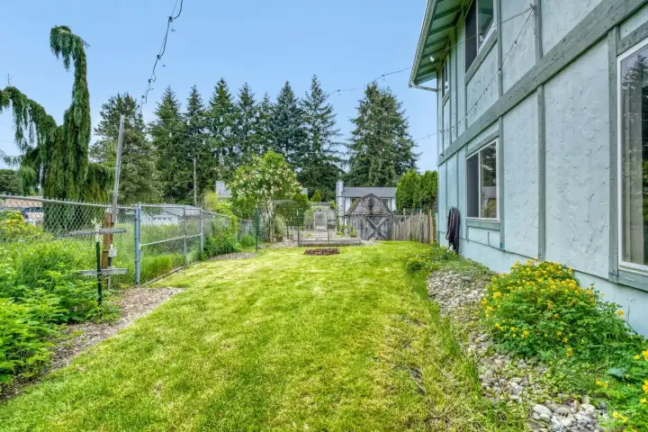 Step out to the lush backyard. Raspberries line the fence on the left. Firepit for summer nights and a chicken/dog on the right.