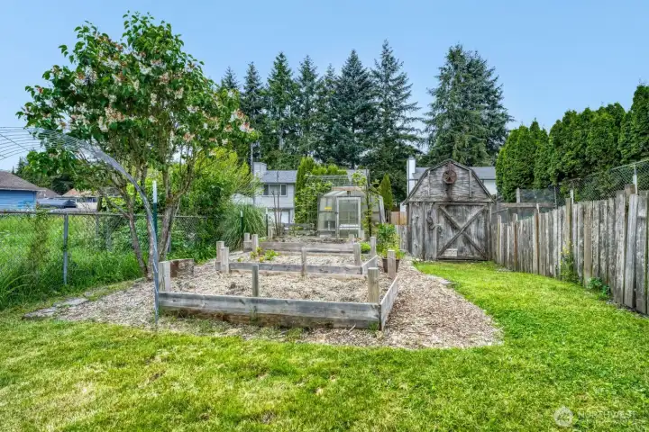 Set up for your urban farm! Raised beds, a greenhouse, and a storage shed straight ahead. A dog or chicken run with an additional shed to the right, off camera behind the wood fence.