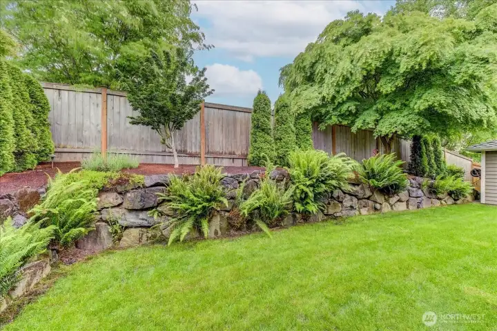 Private backyard featuring an automated irrigation system and landscape lighting.