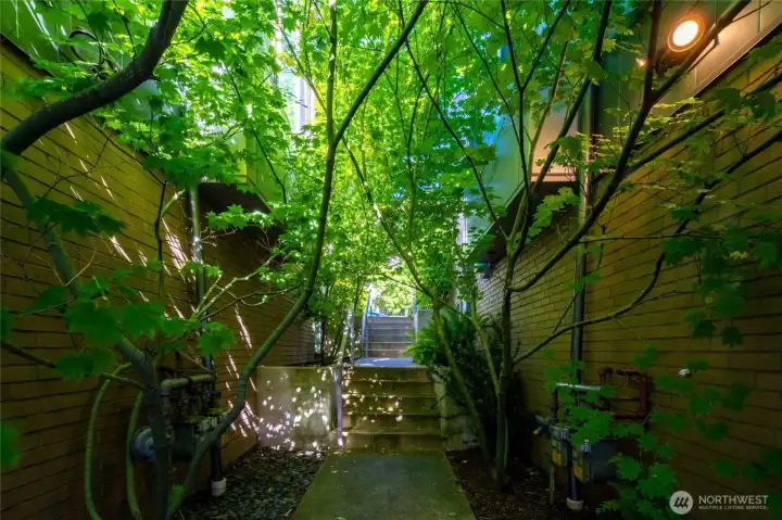 Serene walkway along home to the back of condo