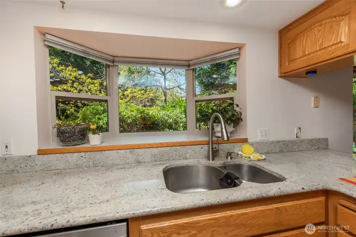 Garden window and granite counters