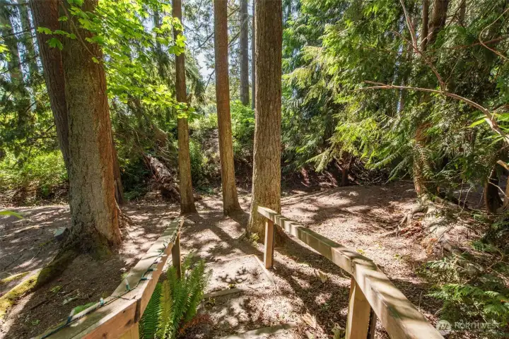 Private forest backs up to golf course