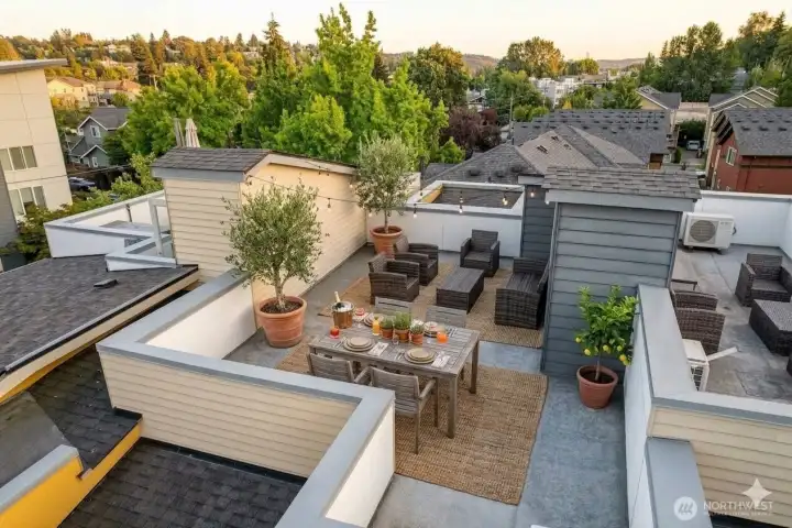 Entertainment size rooftop terrace (Digitally staged)