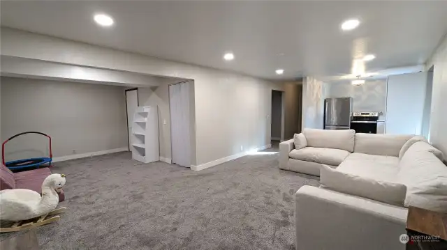 Lower level living room with side area.