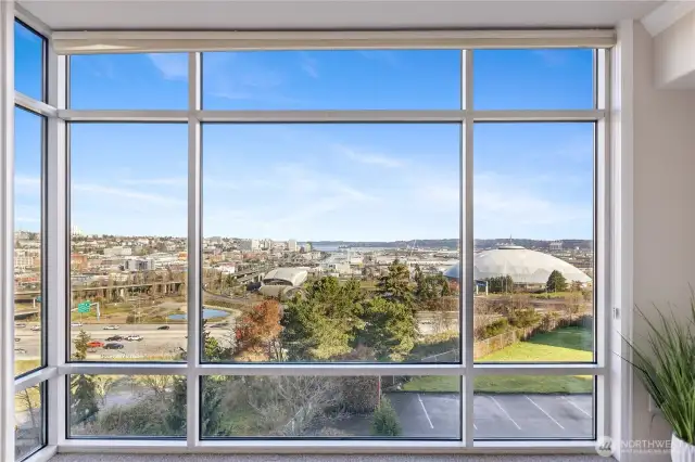 Living Room Window – Floor-to-Ceiling Views, No Filter Needed!