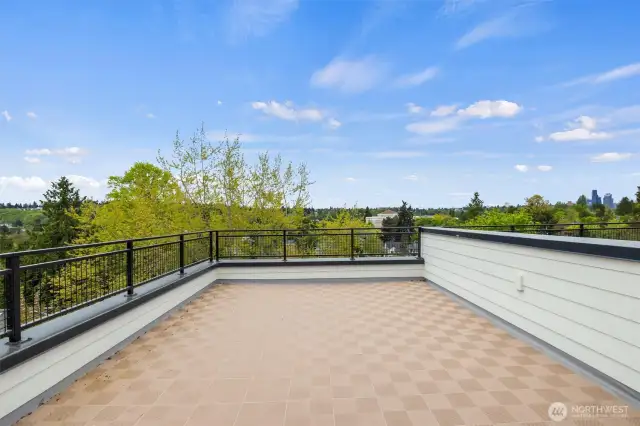 Fabulous views from the spacious rooftop deck.
