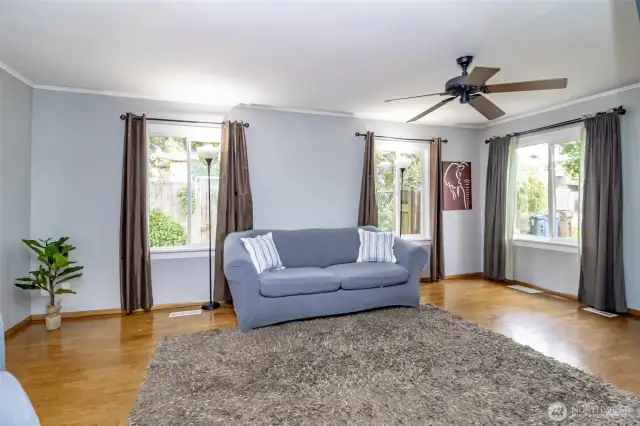 Look at those windows and all that natural light!