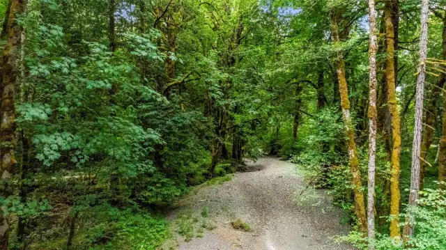 dry summer creek bed