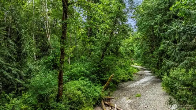 Summer creek bed