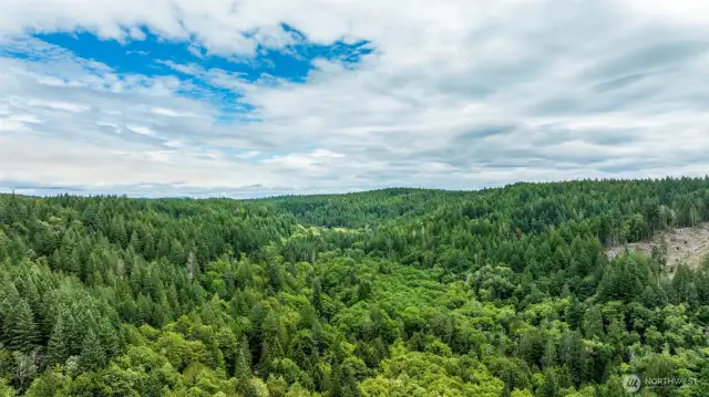 Arial view